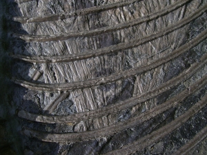 Ichthyosaurier Muttertier mit mehreren Embryonen im Bauch