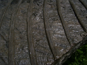 Ichthyosaurier Muttertier mit mehreren Embryonen im Bauch