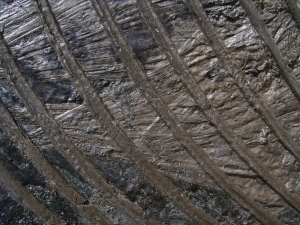 Ichthyosaurier Muttertier mit mehreren Embryonen im Bauch