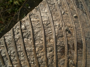 Ichthyosaurier Muttertier mit mehreren Embryonen im Bauch