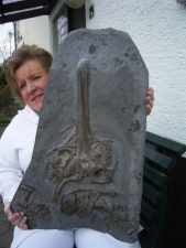 Ichthyosaurier Schädel aus Holzmaden