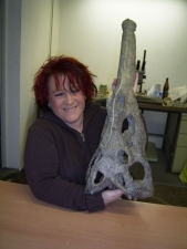 Phytosaurus Schädel aus dem Keuper