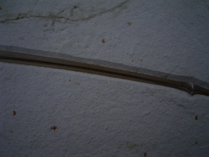 Flugsaurier Flügel Rhamphorhynchus