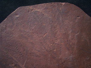 Arthropoden Spurenplatte aus dem Buntsandstein