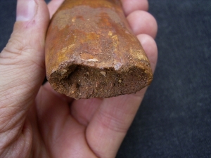 Carcharodontosaurus Zahn, Afrikanischer T-Rex