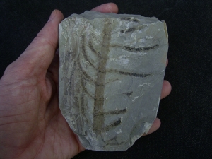 Pflanzenplatte aus Sobernheim