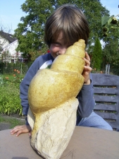 Riesige Schnecke