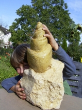 Riesige Schnecke