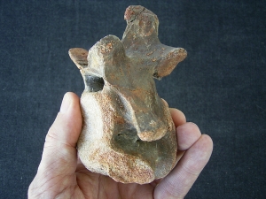 Dinosaurier Wirbel aus der Kreidezeit