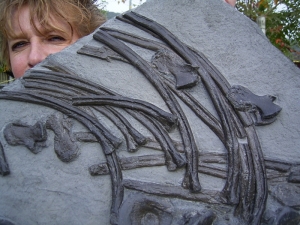 Große Ichthyosaurier- Knochen-Platte