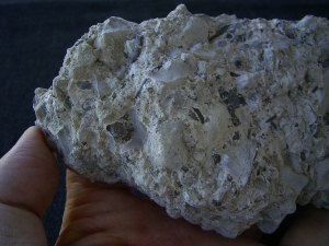 Captorhinus bonebed