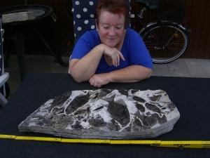 Fischplatte aus der Trias