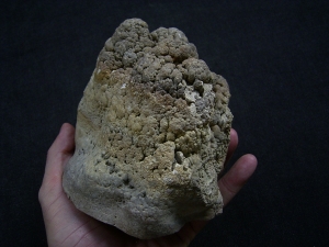 Stromatolithen - schöne Stufe