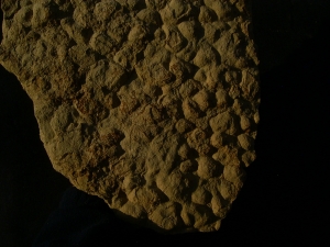 Stromatholithen aus Deutschland - Fossilien auf beiden Seiten des Steines