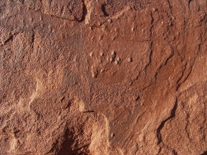 Arthropodenf?hrten aus dem Buntsandstein