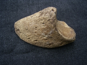 Auerochse Huf
