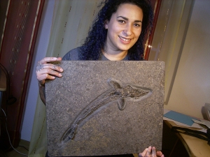 Pachycormus aus Holzmaden