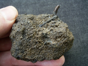 Käfer und Knochen, La Brea Teergruben