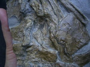 Steneosaurus Knochenplatte