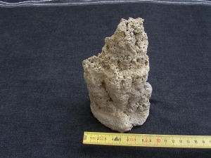 Stromatolithen-Stufe