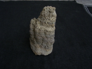 Stromatolithen-Stufe