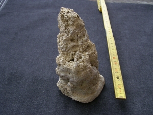 Stromatolithen-Stufe