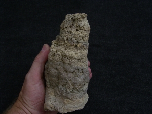 Stromatolithen-Stufe