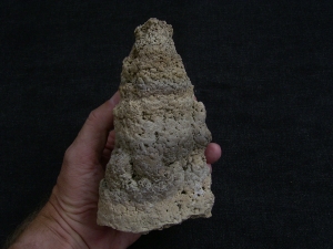 Stromatolithen-Stufe