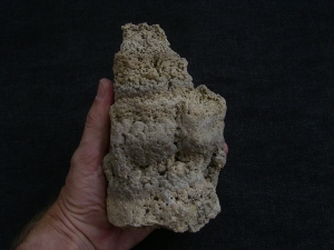 Stromatolithen-Stufe