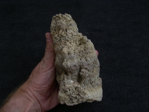 Stromatolithen-Stufe