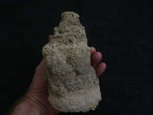 Stromatolithen-Stufe