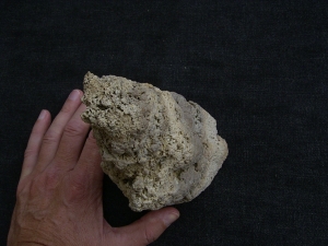 Stromatolithen-Stufe