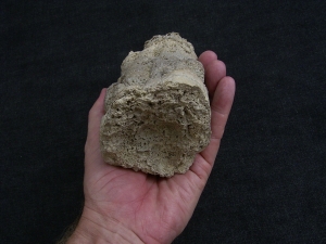 Stromatolithen-Stufe