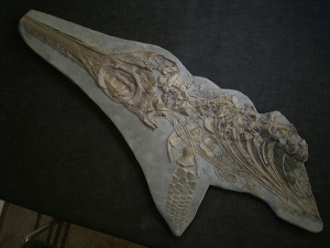 Ichthyosaurus Skelett aus Holzmaden