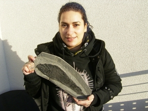 Cheirolepis - rare devonian fish