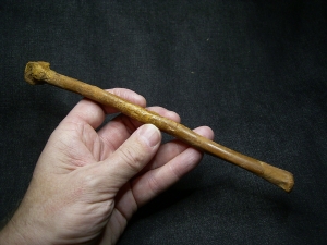Flugsaurier Mittelhand-Knochen