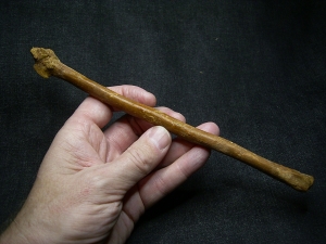 Flugsaurier Mittelhand-Knochen