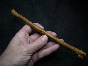 Flugsaurier Mittelhand-Knochen