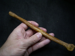 Flugsaurier Mittelhand-Knochen