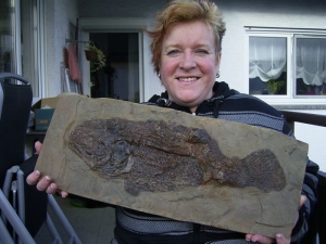 Messel Fisch Cyclurus