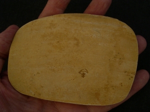 Sinne Araneae