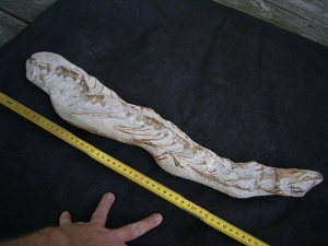 Tethysaurus mit Fisch im Maul