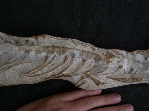 Tethysaurus mit Fisch im Maul