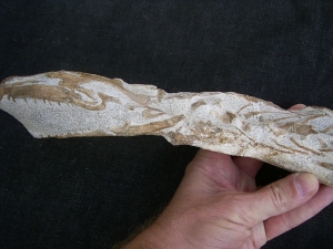 Tethysaurus mit Fisch im Maul