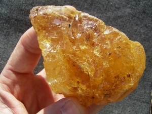 Goldener Kopal aus Indonesien