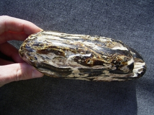 Großer schwarzer Kopal aus Indonesien
