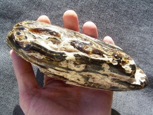 Großer schwarzer Kopal aus Indonesien