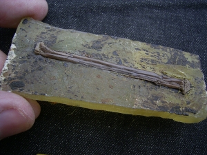 Vogelknochen, Grube Messel