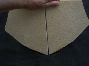 Krebs-Larve Palinurina