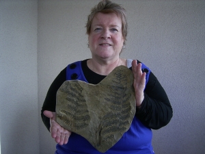 Samenfarn Dicksonites pluckenetii